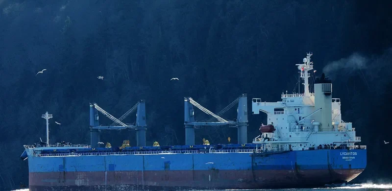 LYCAVITOS Bulk Carrier IMO 9368857 photo 5