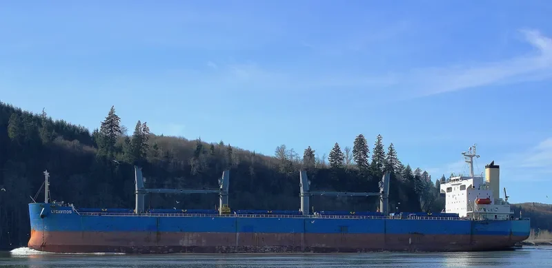 LYCAVITOS Bulk Carrier IMO 9368857 photo 6
