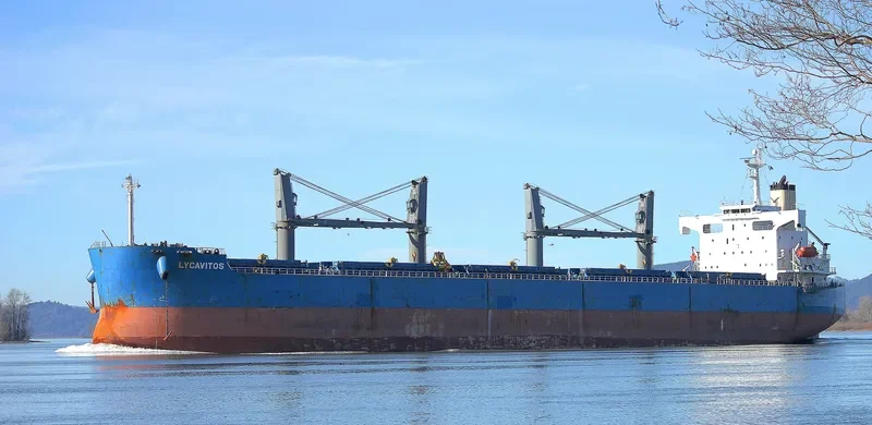 LYCAVITOS Bulk Carrier IMO 9368857 photo 7