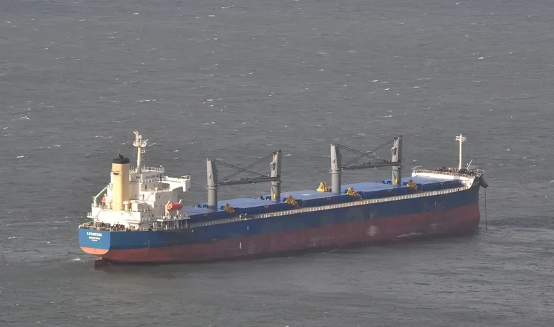 LYCAVITOS Bulk Carrier IMO 9368857 photo 9