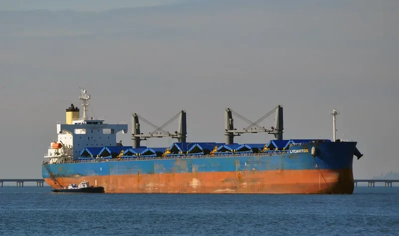 LYCAVITOS Bulk Carrier IMO 9368857 photo 10
