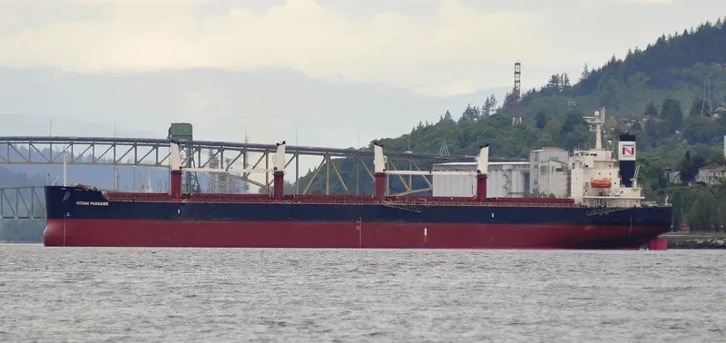 THE LOVING Bulk Carrier IMO 9368883