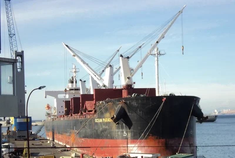 THE LOVING Bulk Carrier IMO 9368883 photo 2