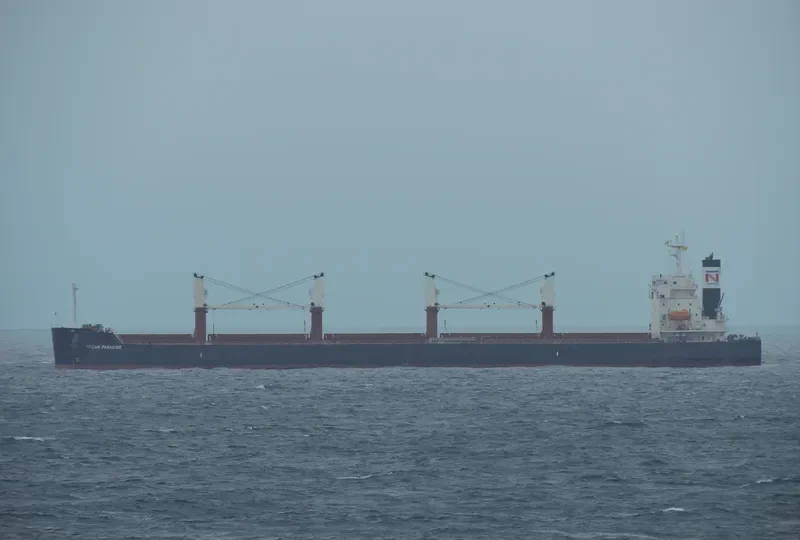 THE LOVING Bulk Carrier IMO 9368883 photo 3