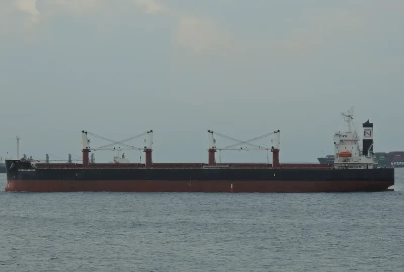 THE LOVING Bulk Carrier IMO 9368883 photo 4
