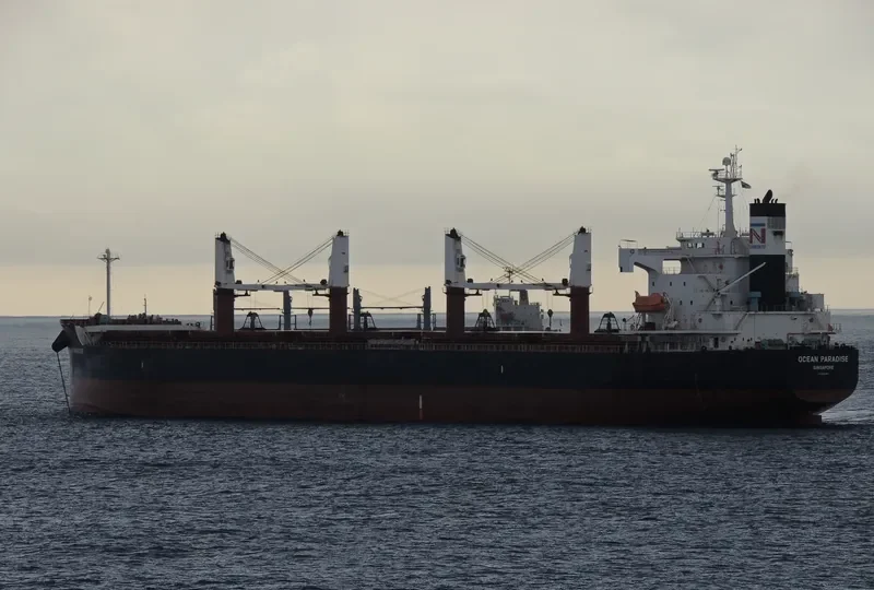 THE LOVING Bulk Carrier IMO 9368883 photo 5