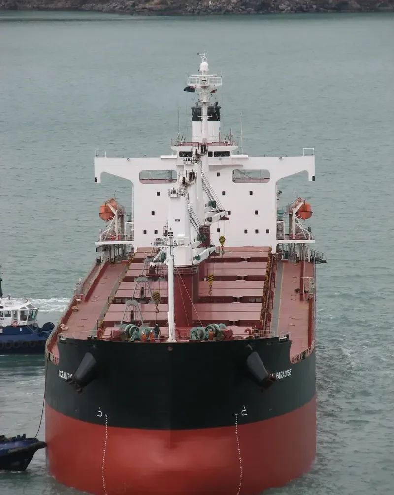 THE LOVING Bulk Carrier IMO 9368883 photo 6