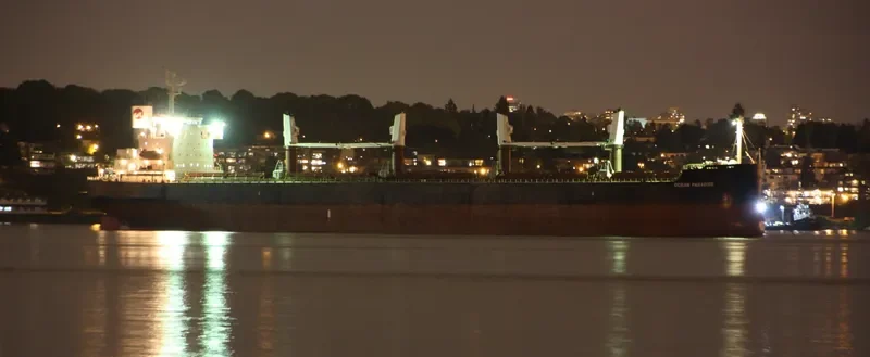 THE LOVING Bulk Carrier IMO 9368883 photo 7
