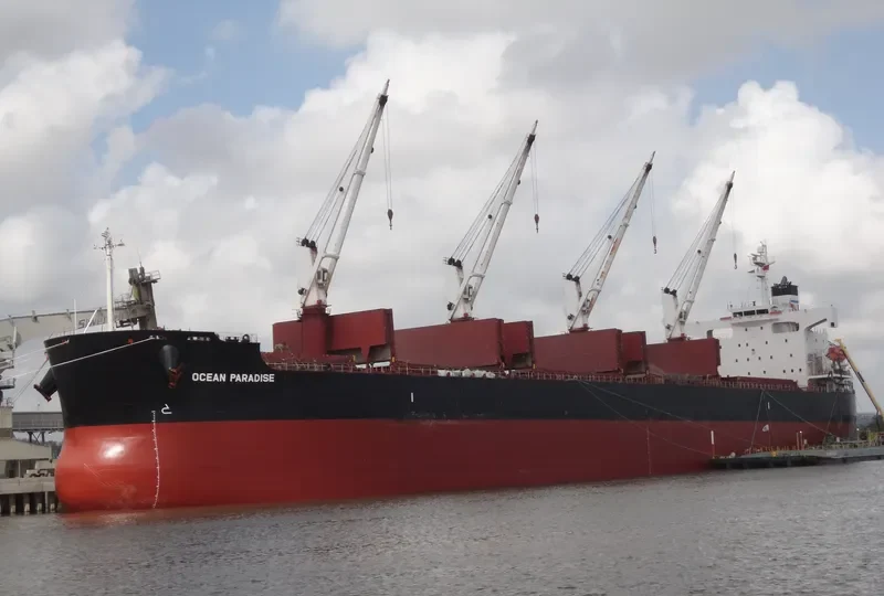 THE LOVING Bulk Carrier IMO 9368883 photo 8