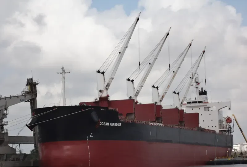 THE LOVING Bulk Carrier IMO 9368883 photo 9