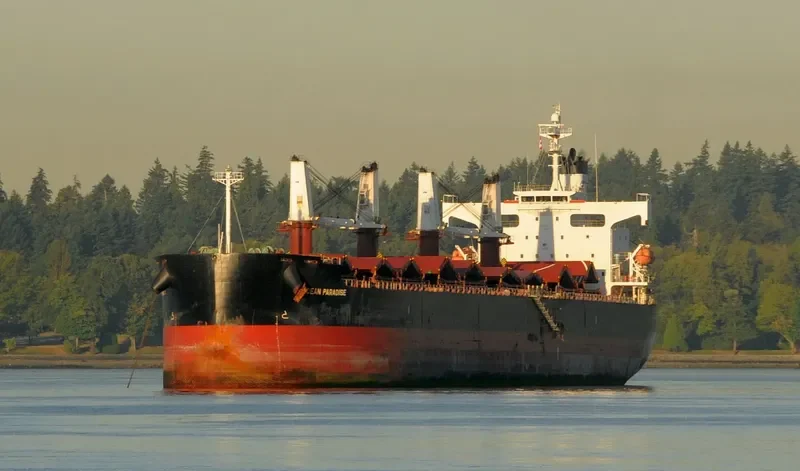 THE LOVING Bulk Carrier IMO 9368883 photo 10