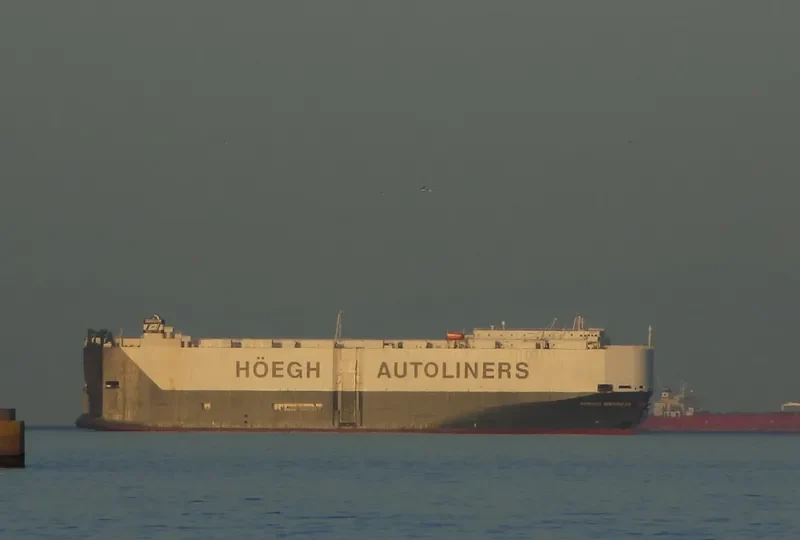 HOEGH BRASILIA General Cargo IMO 9368895 photo 9