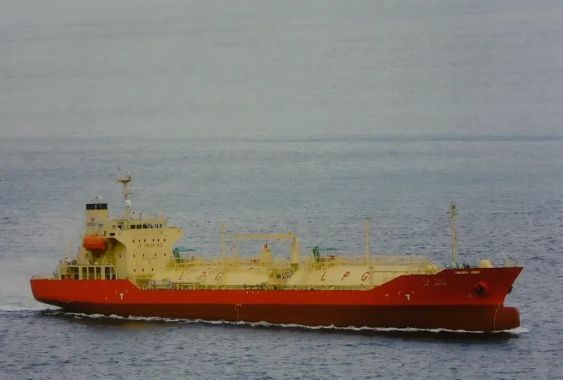DL SALVIA General Cargo IMO 9368924