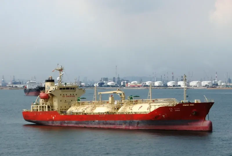DL ZINNIA General Cargo IMO 9368936