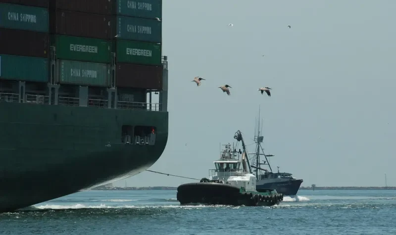 BERING WIND General Cargo IMO 9369198 photo 2