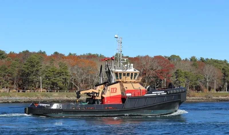 INDEPENDENCE General Cargo IMO 9369239 photo 2