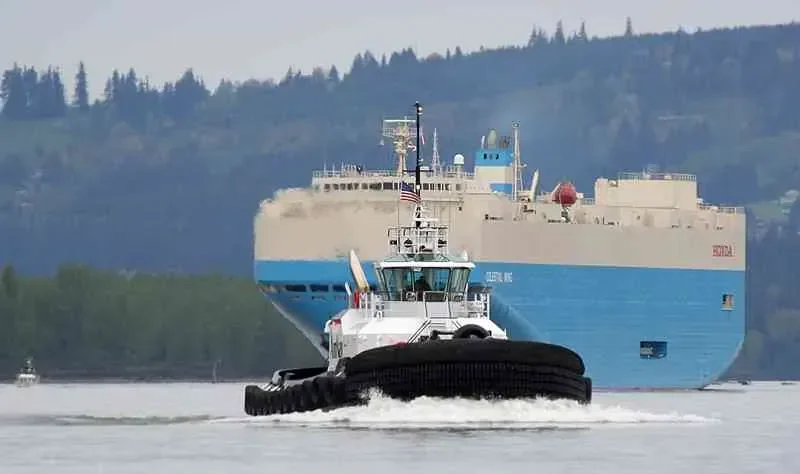 INDEPENDENCE General Cargo IMO 9369239 photo 9
