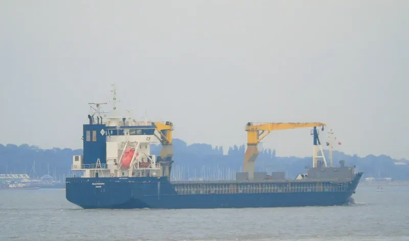 BEAUTRIUMPH General Cargo IMO 9369291 photo 3