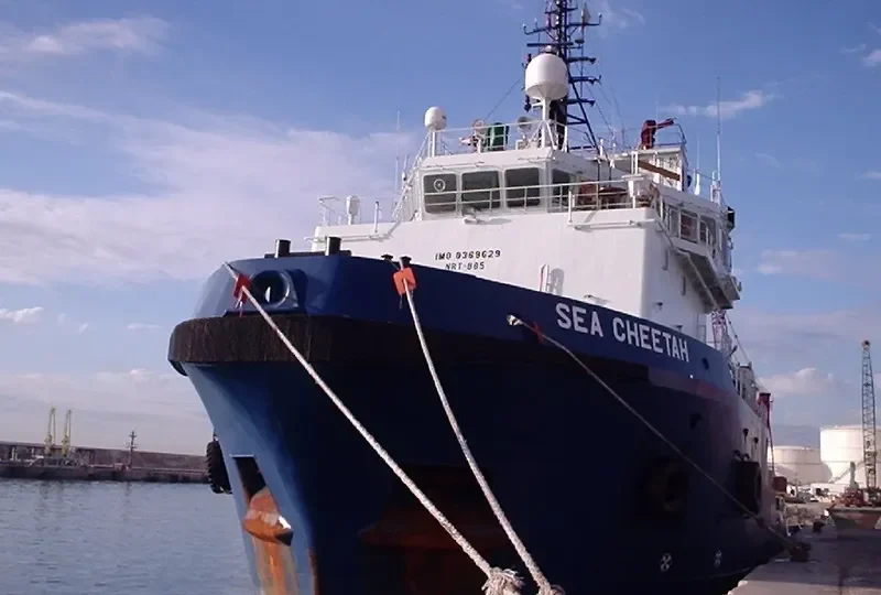 SEA CHEETAH Offshore Vessel IMO 9369629 photo 2