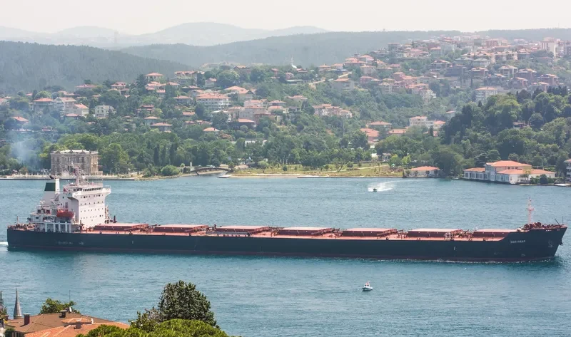DARYABAR Bulk Carrier IMO 9369710
