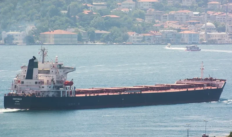 DARYABAR Bulk Carrier IMO 9369710 photo 2