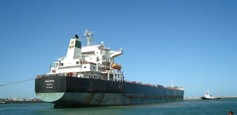 ARIES Bulk Carrier IMO 9369722 photo 2