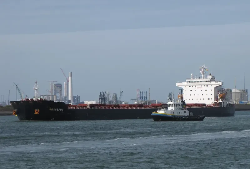 ARIES Bulk Carrier IMO 9369722 photo 4