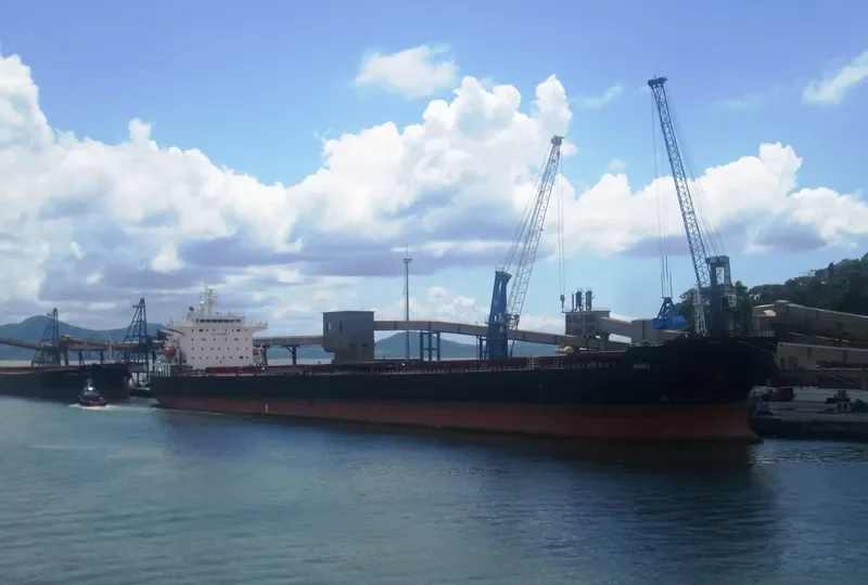 ARIES Bulk Carrier IMO 9369722 photo 5