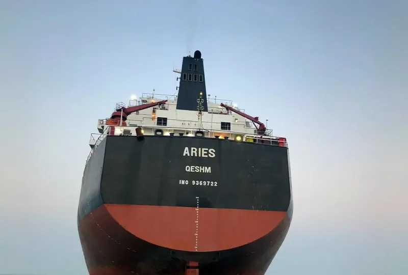 ARIES Bulk Carrier IMO 9369722 photo 6
