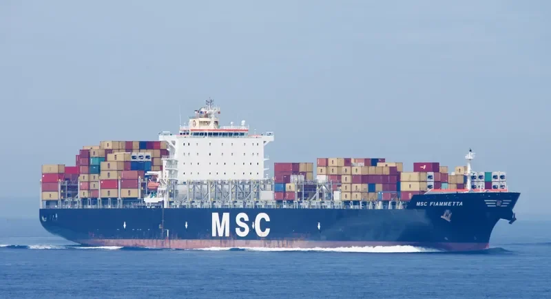 MSC FIAMMETTA Container Ship IMO 9369758 photo 2