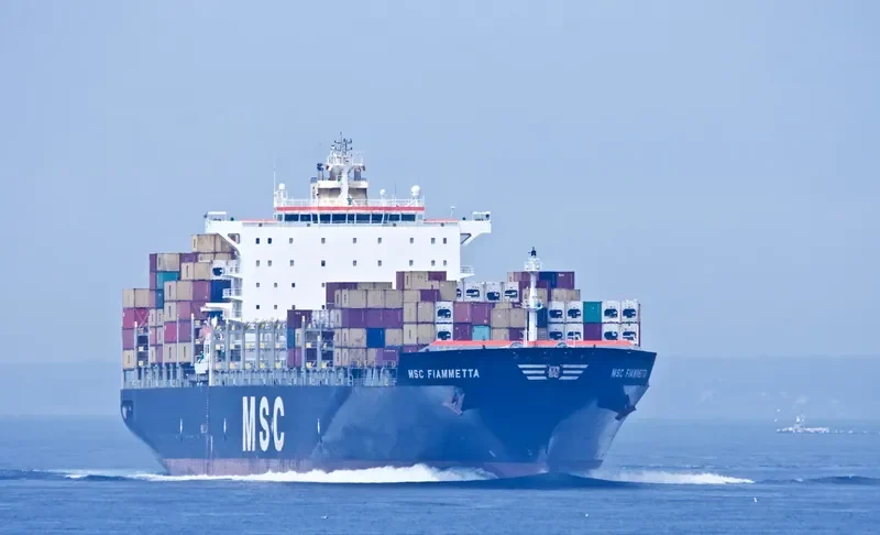 MSC FIAMMETTA Container Ship IMO 9369758 photo 3