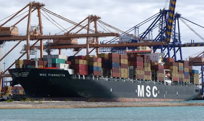 MSC FIAMMETTA Container Ship IMO 9369758 photo 5