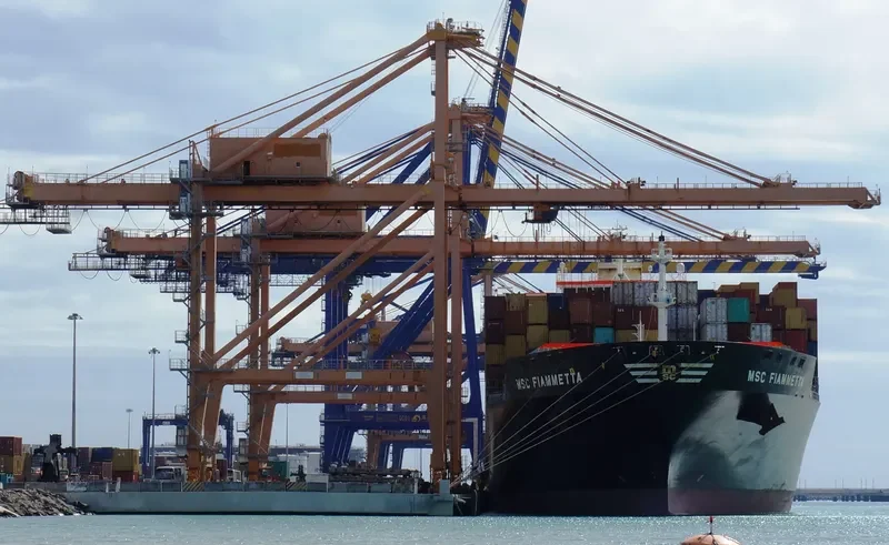 MSC FIAMMETTA Container Ship IMO 9369758 photo 6