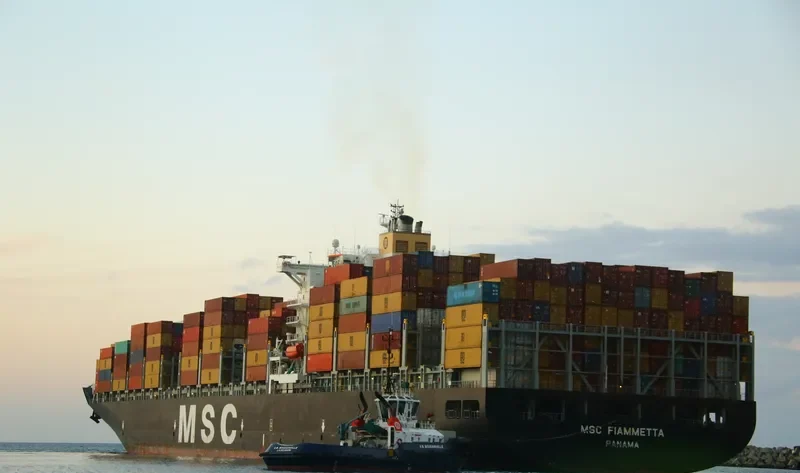 MSC FIAMMETTA Container Ship IMO 9369758 photo 7