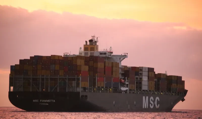MSC FIAMMETTA Container Ship IMO 9369758 photo 8