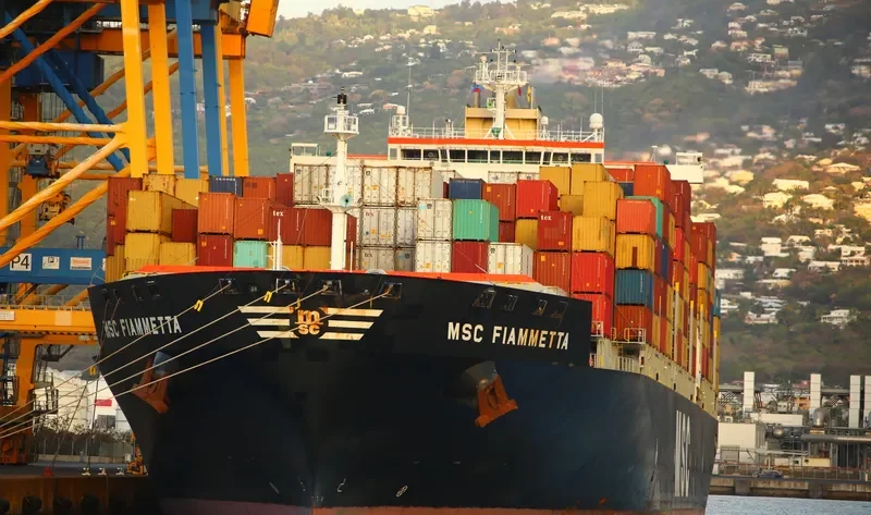 MSC FIAMMETTA Container Ship IMO 9369758 photo 9