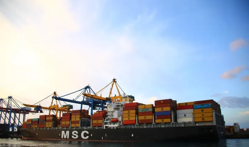 MSC FIAMMETTA Container Ship IMO 9369758 photo 10