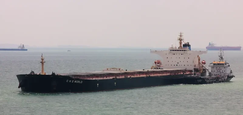 C H S WORLD Bulk Carrier IMO 9369851 photo 2