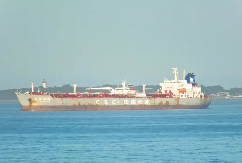 C H S WORLD Bulk Carrier IMO 9369851 photo 3