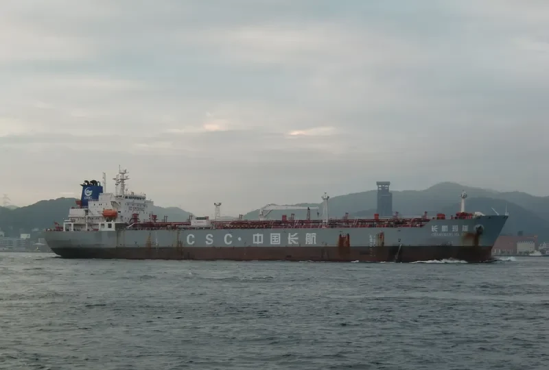 C H S WORLD Bulk Carrier IMO 9369851 photo 4