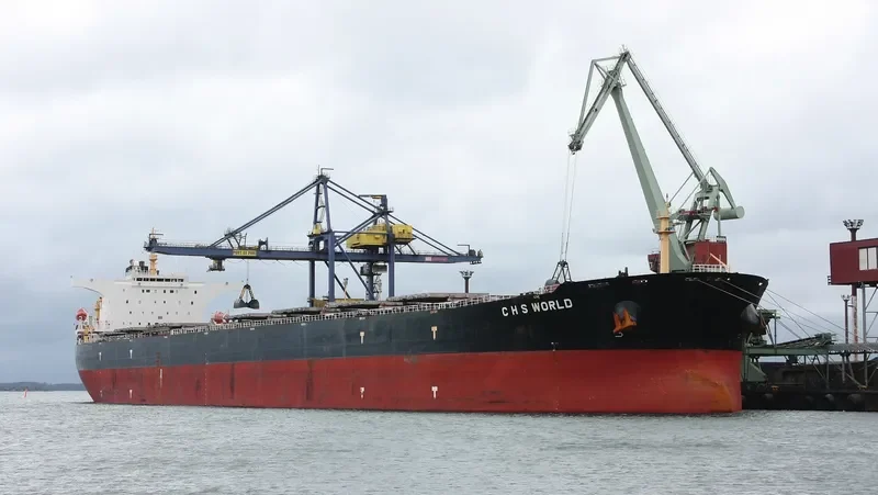 C H S WORLD Bulk Carrier IMO 9369851 photo 8