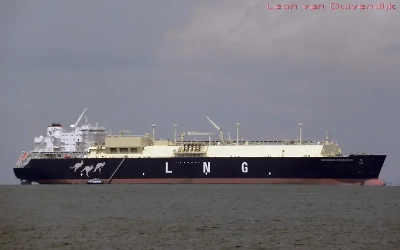 WOODSIDE DONALDSON General Cargo IMO 9369899 photo 10