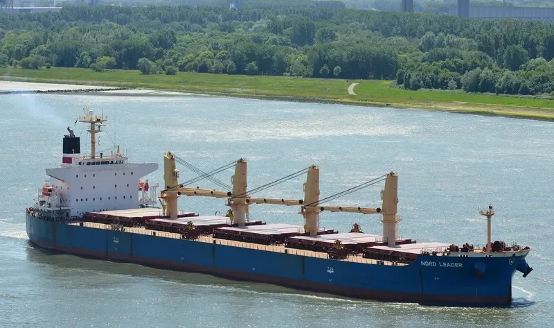 ALEGRE III Bulk Carrier IMO 9369980