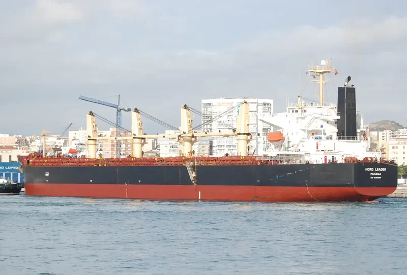ALEGRE III Bulk Carrier IMO 9369980 photo 2