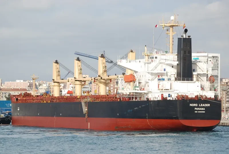 ALEGRE III Bulk Carrier IMO 9369980 photo 3