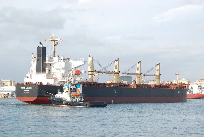 ALEGRE III Bulk Carrier IMO 9369980 photo 5