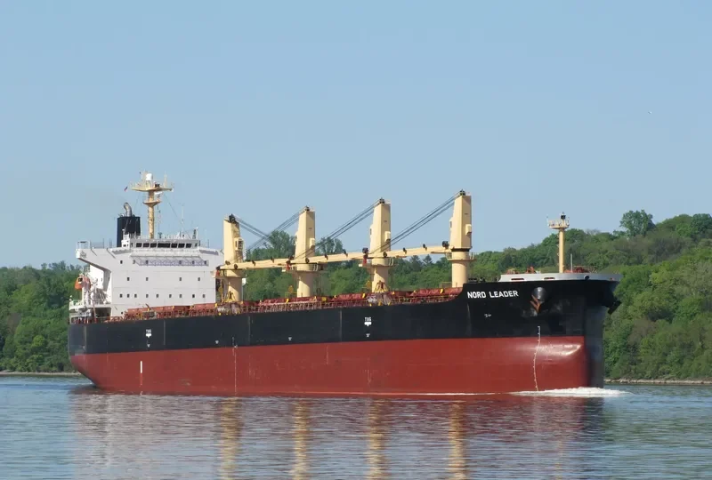 ALEGRE III Bulk Carrier IMO 9369980 photo 7