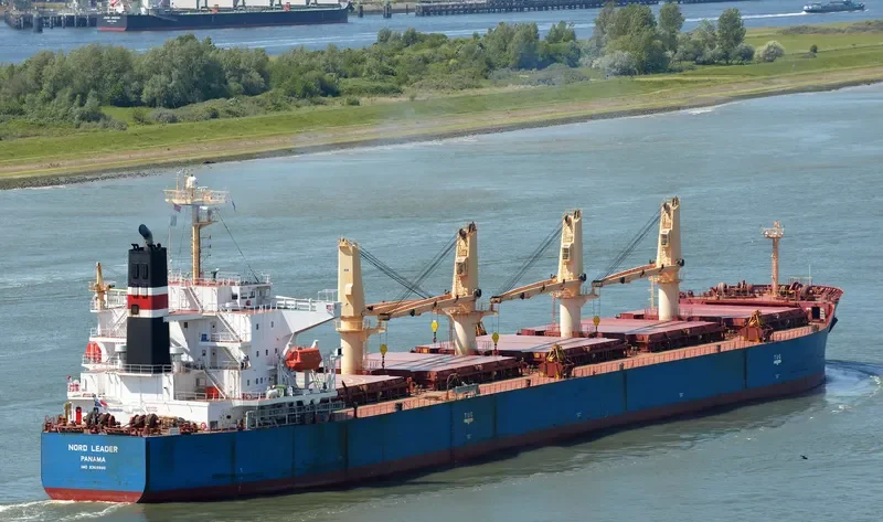 ALEGRE III Bulk Carrier IMO 9369980 photo 9
