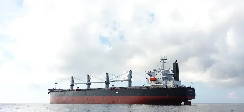BELFRI Bulk Carrier IMO 9369992 photo 3