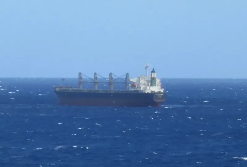 BELFRI Bulk Carrier IMO 9369992 photo 8